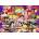 Pieces & Peace - Puzzle Paris Perfumerie - 2 000 piese