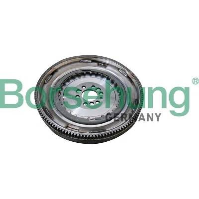 Setrvačník Borsehung B10918