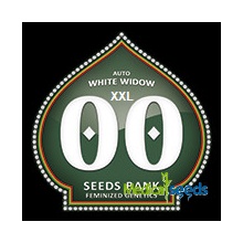 00 Seeds Bank AUTO White Widow XXL semena neobsahují THC 5 ks