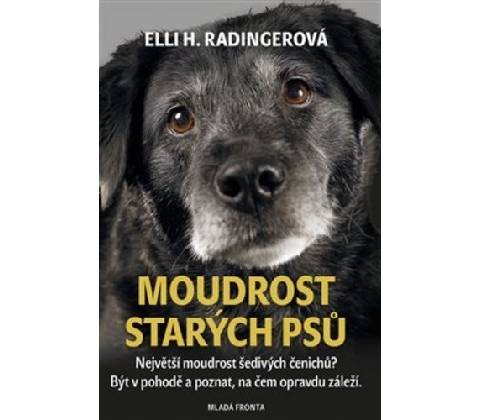 Moudrost starých psů