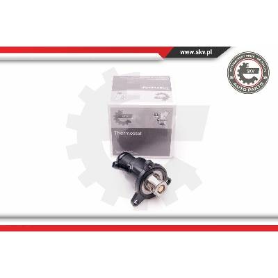 20SKV074 ESEN SKV Termostat, chladivo