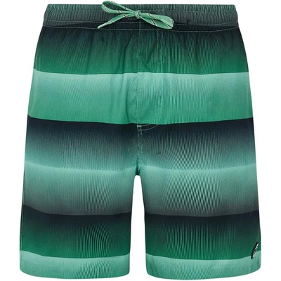 Protest Бански гащета Protest Radar swimming shorts - Green (Cactus Green)