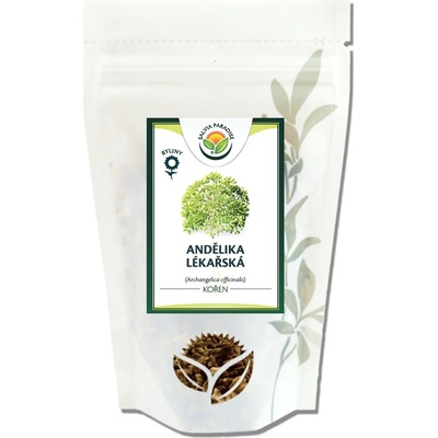 Salvia Paradise Andělika lékařská kořen 1 kg