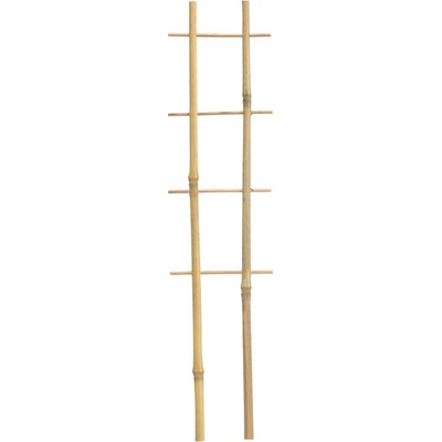 DVOJITÝ BAMBUSOVÝ REBRÍK 37 CM