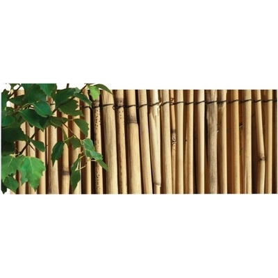 Rohož rákos - 2x5m