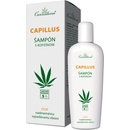 Cannaderm Capillus šampón s kofeínom proti vypadávaniu vlasov 150 ml