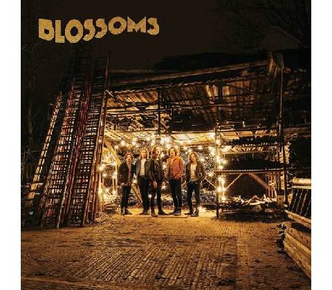 BLOSSOMS: BLOSSOMS LP
