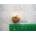 Compatible Зъбно колело 18T, HP 3Si, RS5-0059 (RS5-0059)