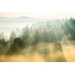 DIMEX ART Флизелинов фототапет слънчеви лъчи 375 x 250 см