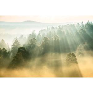 DIMEX ART Флизелинов фототапет слънчеви лъчи 375 x 250 см