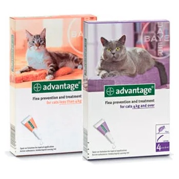Image 1 of Advantage Bayer Advantage Адвентидж за котки над 4kg