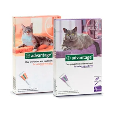 Advantage Bayer Advantage - Адвентидж за котки над 4 кг. / кутия с четири броя пипети /