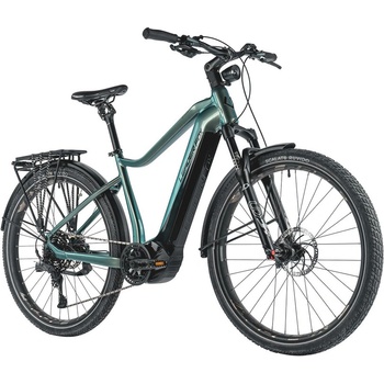 LEADER FOX Dixon 2024