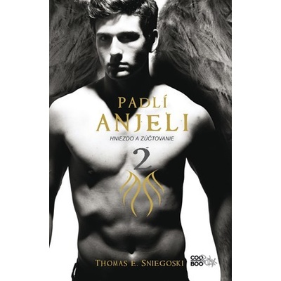 Padlí anjeli 2 - Thomas E. Sniegoski