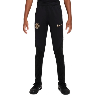 Nike Kalhoty CFC M NK DF STRK PANT KPZ 2025/26 hj6922-349