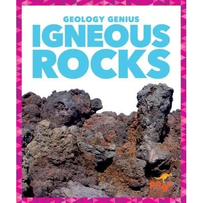 Igneous Rocks Pettiford RebeccaPevná vazba