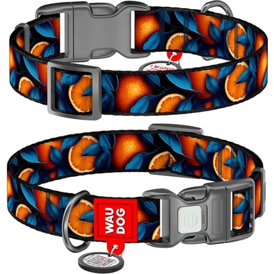 WAUDOG obojek nylon Pomeranče QR