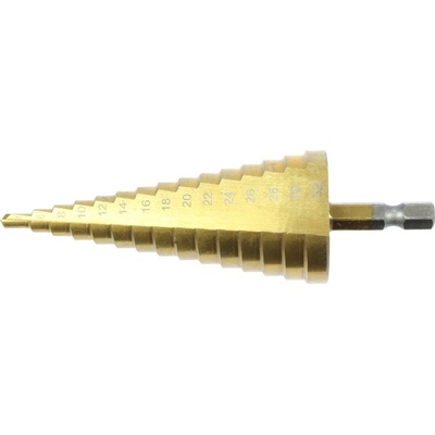 Triumf 100-01089