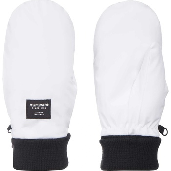 ICEPEAK Ски ръкавици hayingen