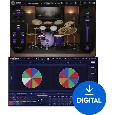 Modalics Groove Mastery Bundle (Digitálny produkt)