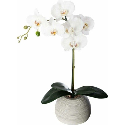 ATMOSPHERA Orchidee Real Touch Cim H.53