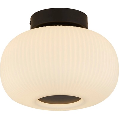 Searchlight 10271-1BK