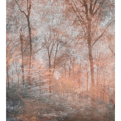 DIMEX MS-3-0390 vliesová fototapeta rozměry 225 x 250 cm