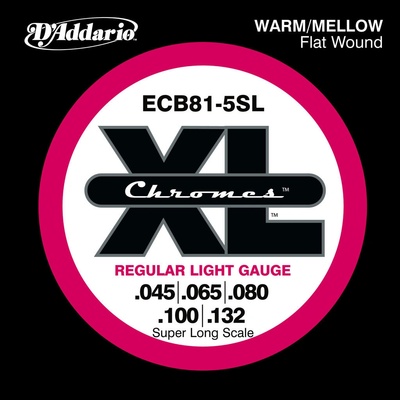 DAddario ECB81-5