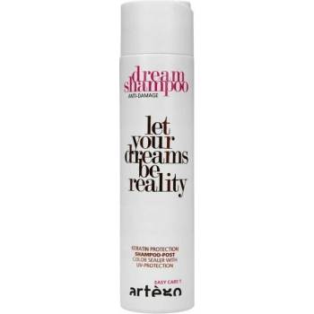 Artégo Dream šampón pre regeneráciu farbených vlasov 250 ml