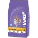 Iams ProActive Health Kitten 10 kg