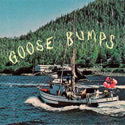 Boyscott - Goose Bumps (Blue Marble Coloured) (LP) (0634457239333)