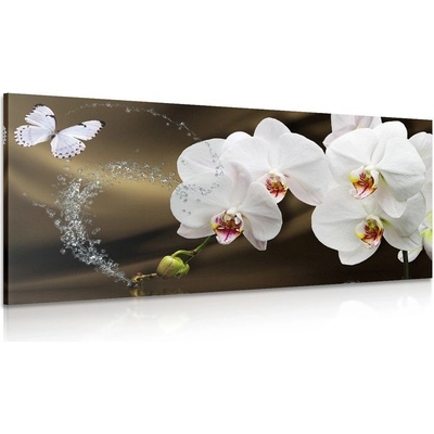 Obraz orchidea a motýľ