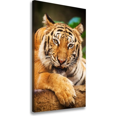 Vertikálny foto obraz na plátne Bengálsky tiger 50x100 cm