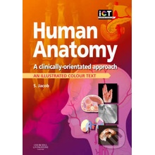 Human Anatomy An Illustrated Colour Text - Sam Jasob