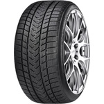 GRIPMAX Pro Winter XL 315/30 R22 107V Автомобилни гуми