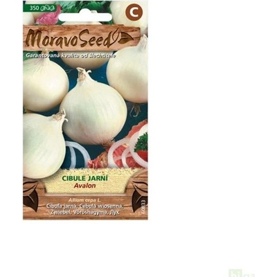 Semínka MoravoSeed Cibule jarní AVALON bílá 350s