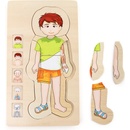 Small Foot Puzzle Anatomie Tim