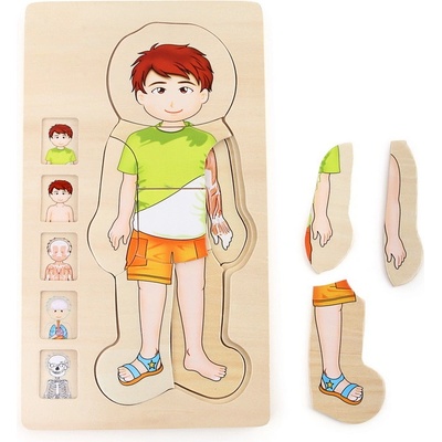 Small Foot Puzzle Anatomie Tim