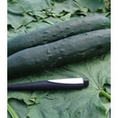 Uhorka F1 Aikon - Cucumis sativus - semiačka - 10 ks
