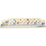 Vigan VIGA PolarB Wooden Numeric Puzzle Numeric Numerals Montessori