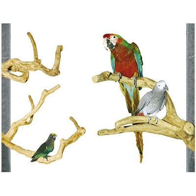 MONTANA Java bidýlko kávovník L 55 x 35 x 50 cm – Zboží Mobilmania