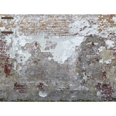 392261 Vliesový panel The Wall, rozmery 371 x 280 cm