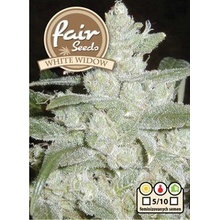 Fair Seeds White Widow semena neobsahují THC 5 ks