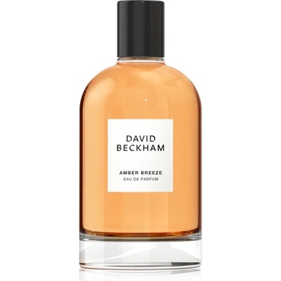 David Beckham Amber Breeze parfémovaná voda pánská 100 ml