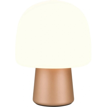 TRIO Бяла и бронзова настолна лампа със стъклен абажур (височина 27 cm) Steen - Trio (568200165)