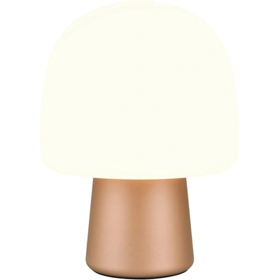 TRIO Бяла и бронзова настолна лампа със стъклен абажур (височина 27 cm) Steen - Trio (568200165)