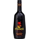 Passoã 17% 1 l (holá láhev)