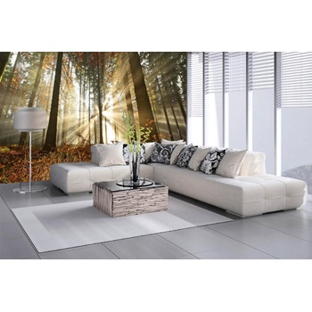 DIMEX ART s. r. o Самозалепваща се флизелинова фототапета гора на разсъмване 375 x 250 см