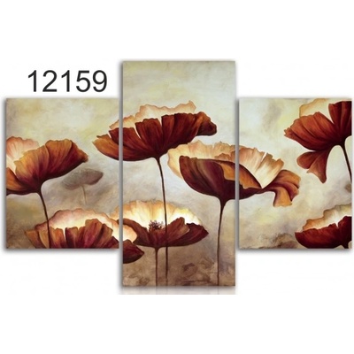 Divio Třídílný obraz na plátně květiny, vzor 12159 Velikost: 120x180 cm