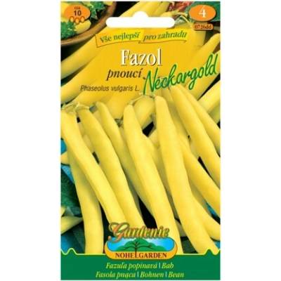 Nohel Garden Fazuľa pnúca NECKARGOLD, žltá